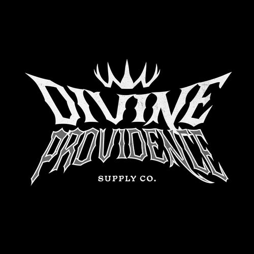 Divine Providence LLC